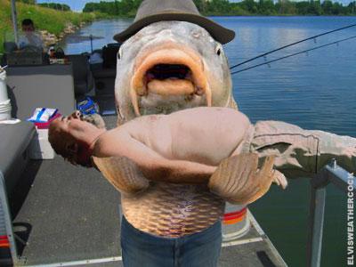 Diverse - carpfin2.jpg